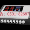 甲醇泄漏報警器-安全衛(wèi)士