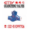 國(guó)標(biāo)電站止回閥