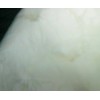 通用型紫外光引發劑/光敏劑819