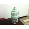 BAD61防爆燈L100W70W150W壁式、吸頂式