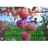 L-蘋果酸，福建哪里有L-蘋果酸生產(chǎn)商，廈門L-蘋果酸報(bào)價(jià)