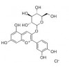供應(yīng)矢車(chē)菊素-3-O-葡萄糖苷  7084-24-4