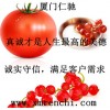 車前籽膠最新報(bào)價(jià) 車前籽膠用量含量 車前籽膠批發(fā)價(jià)格
