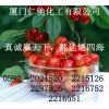己二酸供應商電話 己二酸最新報價 己二酸廠家哪家好