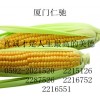 D-木糖供應(yīng)商電話 D-木糖最新報價 D-木糖廠家哪家好