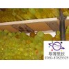 土黃色PU棒，聚氨酯棒，優力膠棒、彈簧膠棒廠家