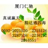 胰酶供應(yīng)商電話 胰酶質(zhì)量及添加量 胰酶批發(fā)價(jià)格