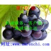 預(yù)糊化淀粉國家免檢 預(yù)糊化淀粉價(jià)格 預(yù)糊化淀粉適用范圍