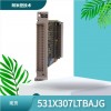 330103-00-06-10-02-00本特利TSI系統(tǒng)